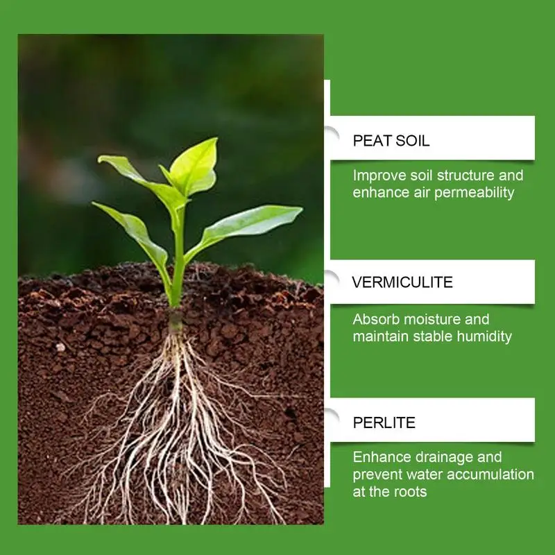 Succulent Soil Potting Mix Aer - đánh giá và giá Us Bonsai Garden