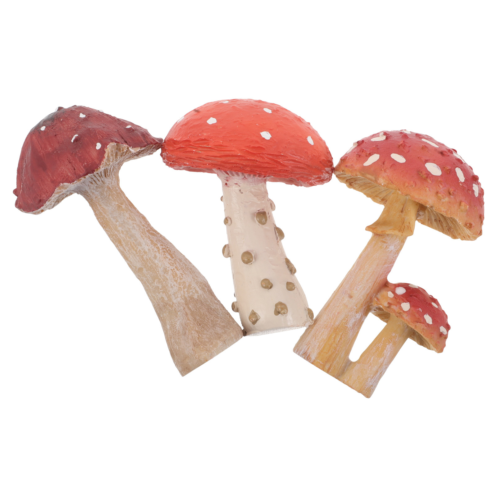 3Pcs Resin Mushroom Garden Sta - đánh giá và giá Bonsai Garden Set Up