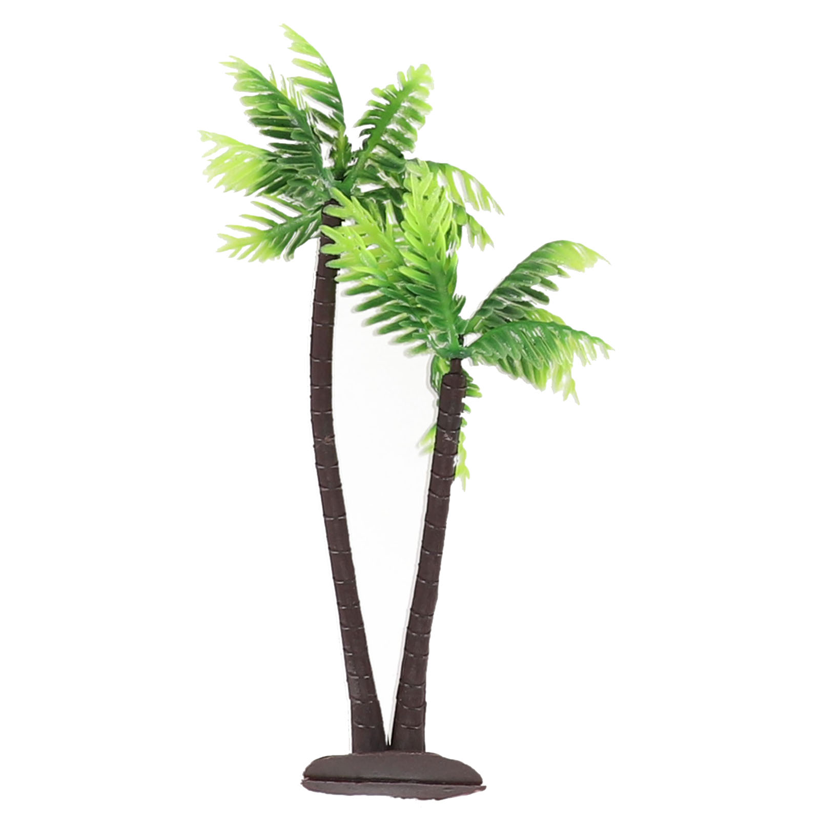 5Pcs For Mini Coconut Palm Tre - đánh giá và giá Bonsai Garden Set Up