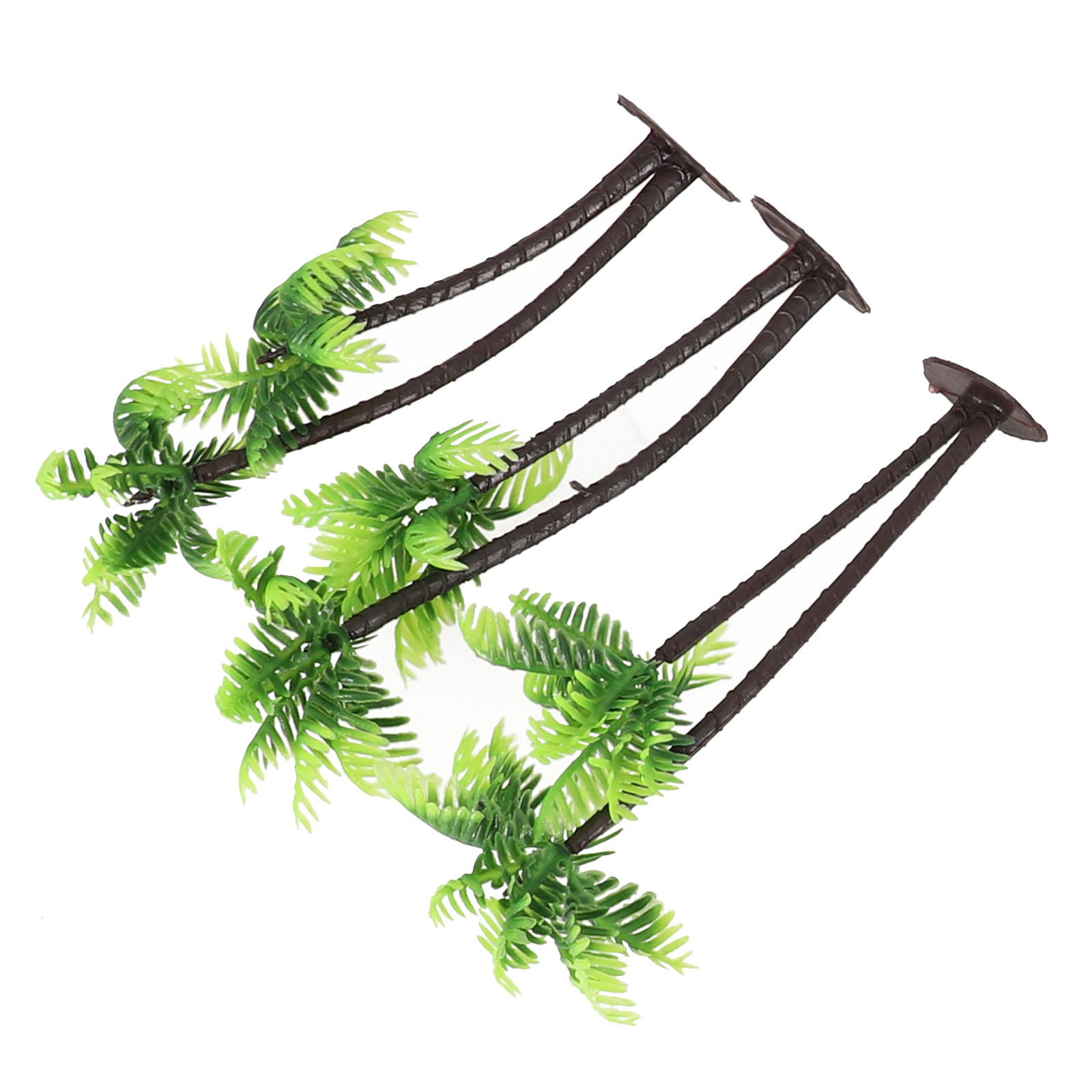 5Pcs For Mini Coconut Palm Tre - đánh giá và giá Bonsai Garden Set Up