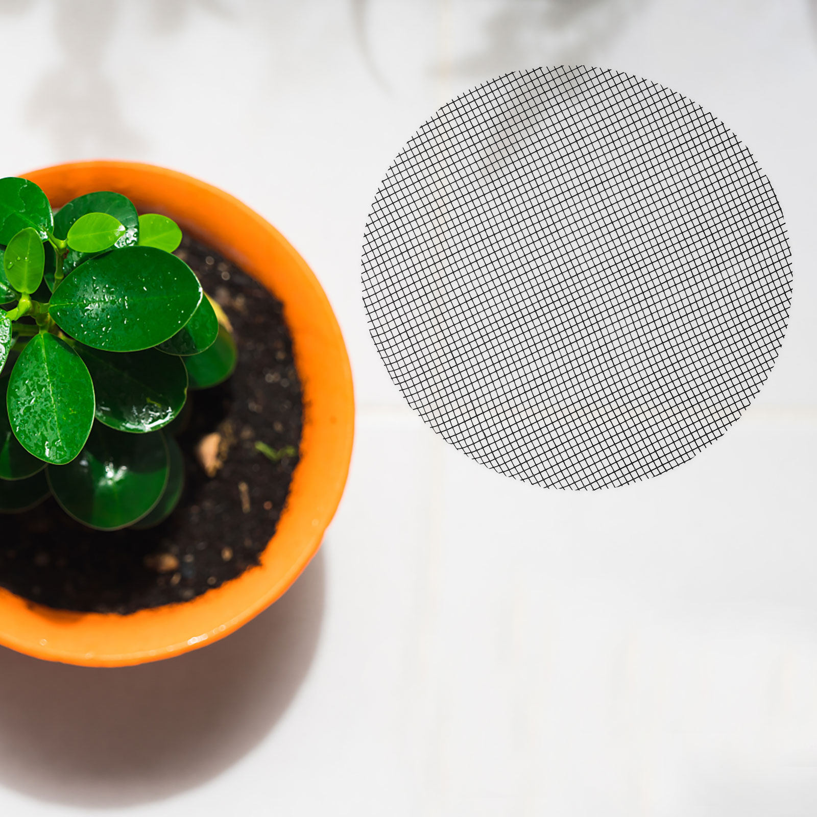 50Pcs Flower Pot Hole Mesh Pad - đánh giá và giá Us Bonsai Garden