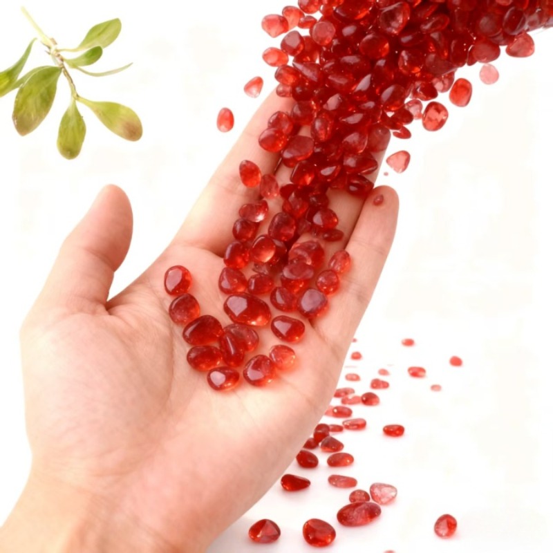 100g/200g high-quality red mos - đánh giá và giá Bonsai Garden Landscape Design