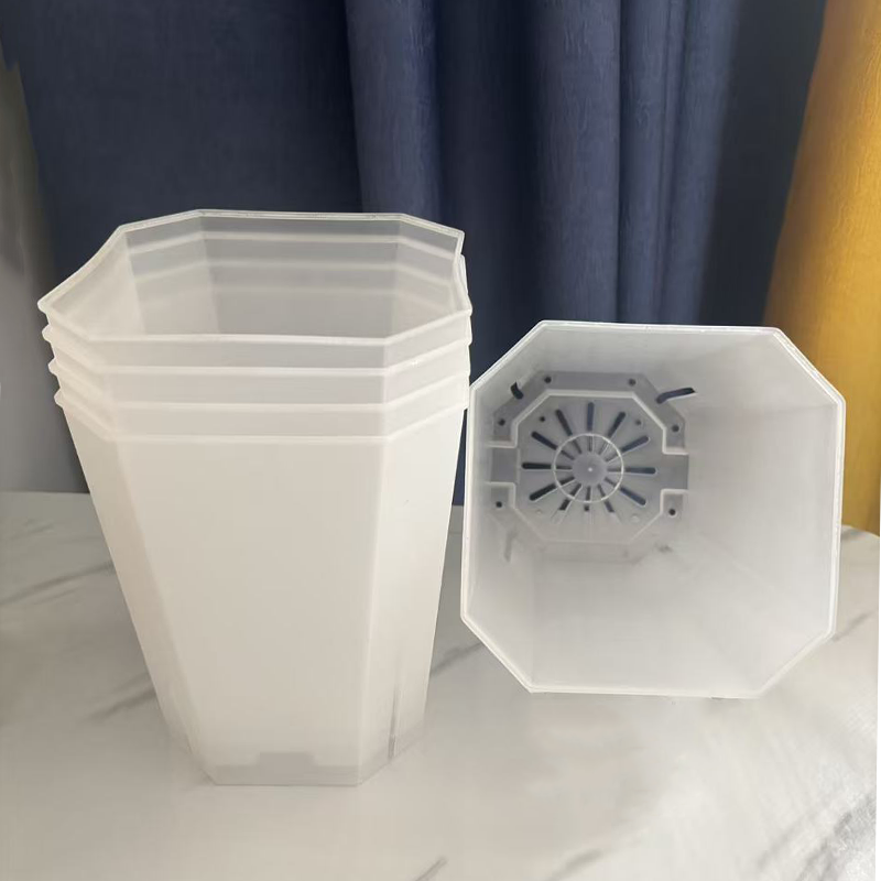 5PCS Transparent Flowerpot 15c - đánh giá và giá Bonsai Garden Indoor