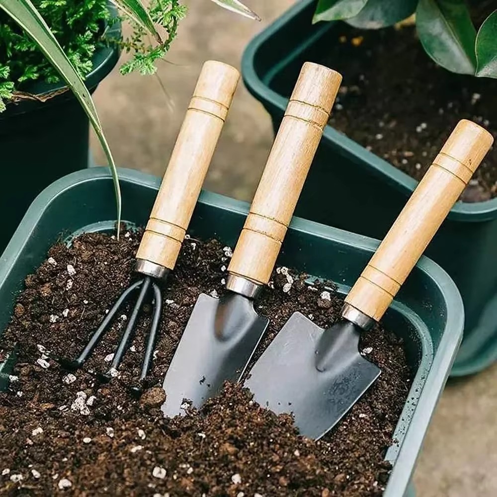 3Pcs/Set Mini Garden Tool Set  - đánh giá và giá Soil Scoop Tool