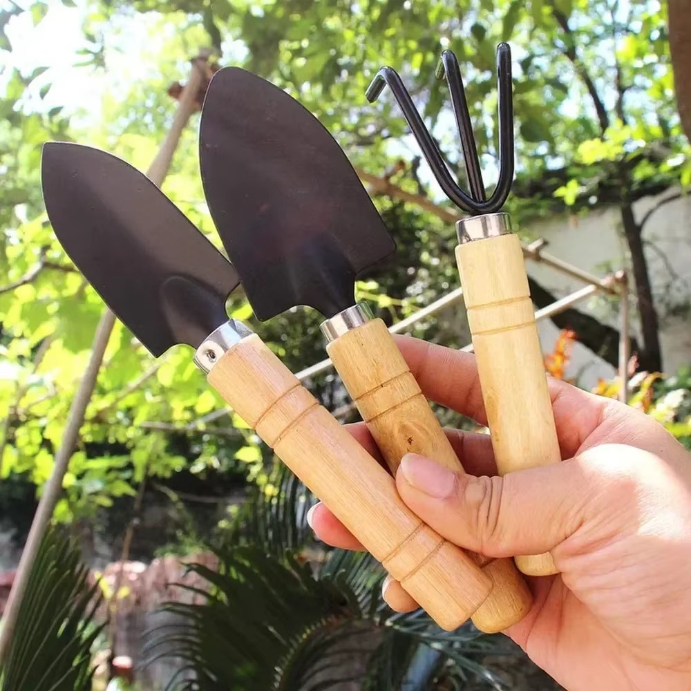 3Pcs/Set Mini Garden Tool Set  - đánh giá và giá Soil Scoop Tool