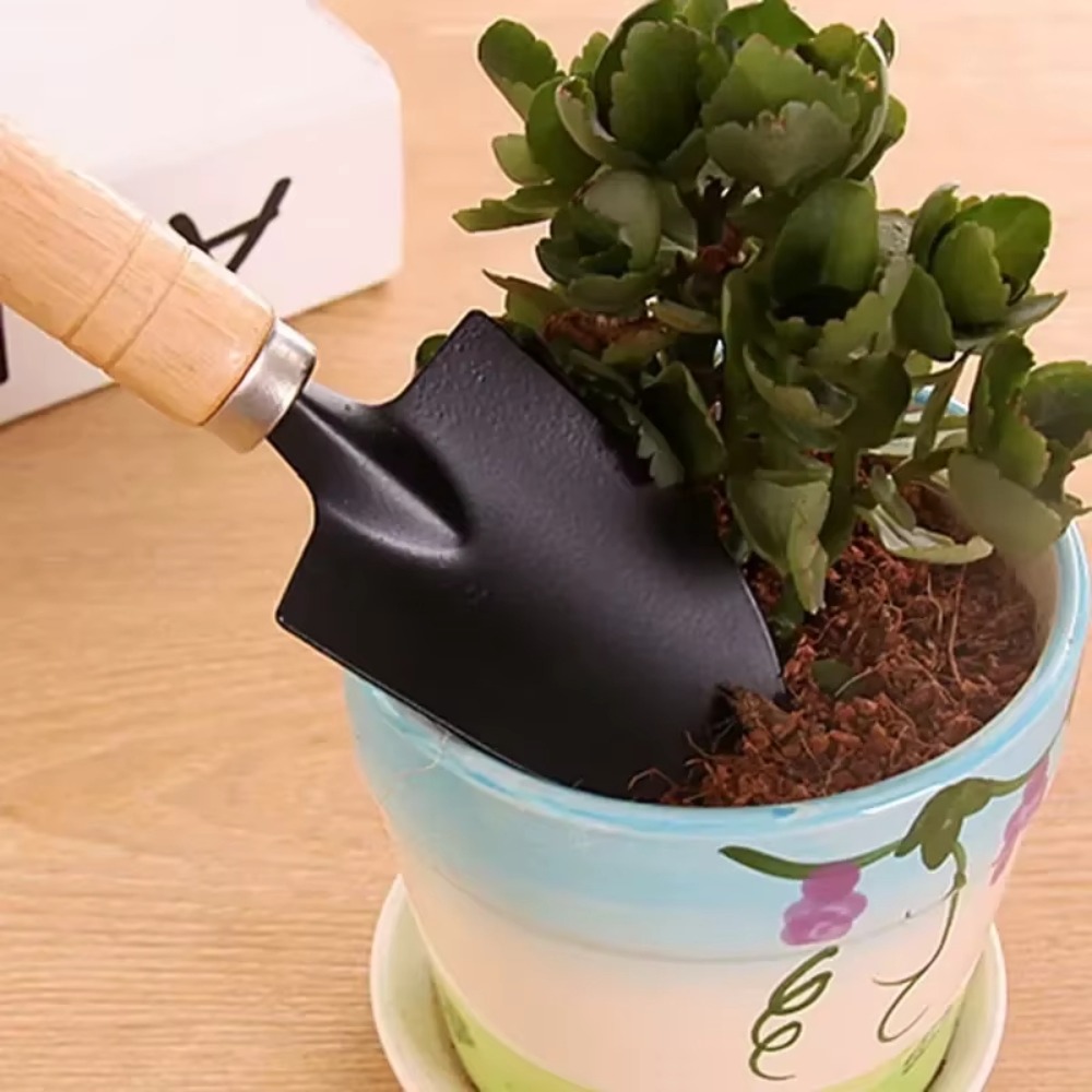 3Pcs/Set Mini Garden Tool Set  - đánh giá và giá Soil Scoop Tool