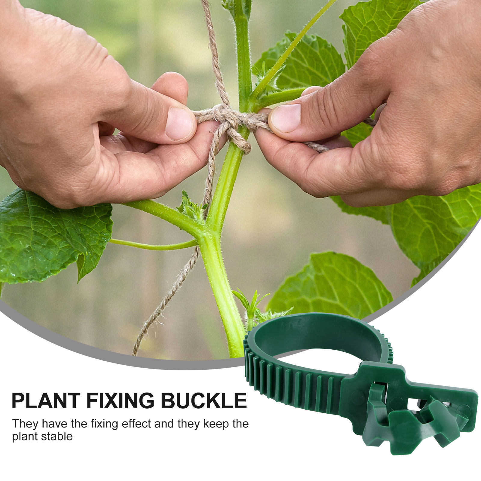 20Pcs Vine Fixing Buckle Garde - đánh giá và giá Us Bonsai Garden