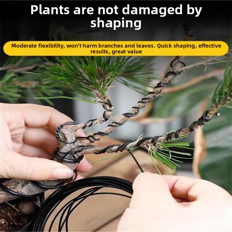 1.5MM Bonsai Wires Aluminum Bo - đánh giá và giá Us Bonsai Garden