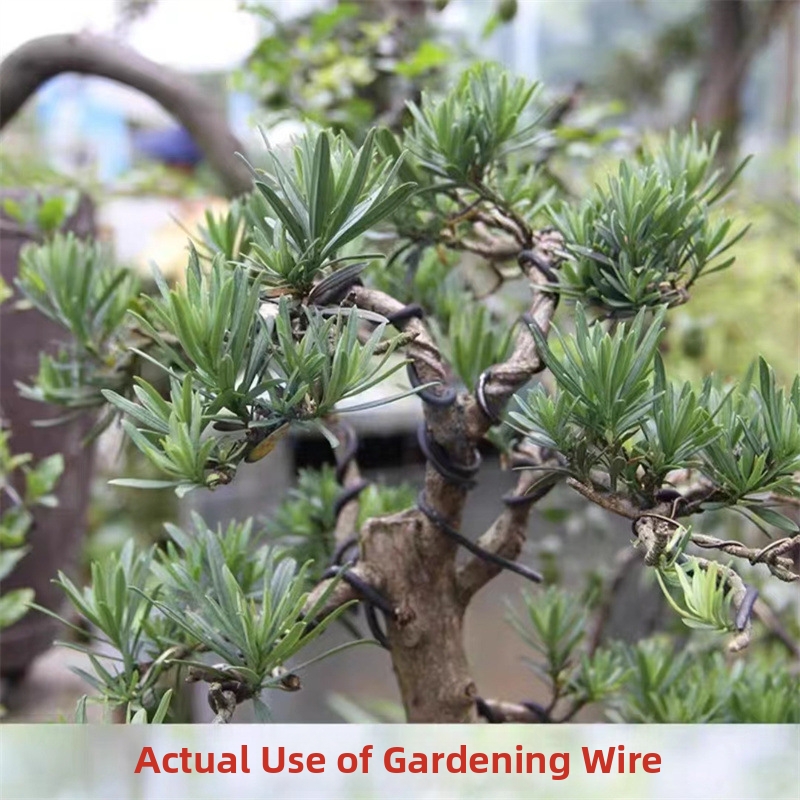 1.5MM Bonsai Wires Aluminum Bo - đánh giá và giá Us Bonsai Garden