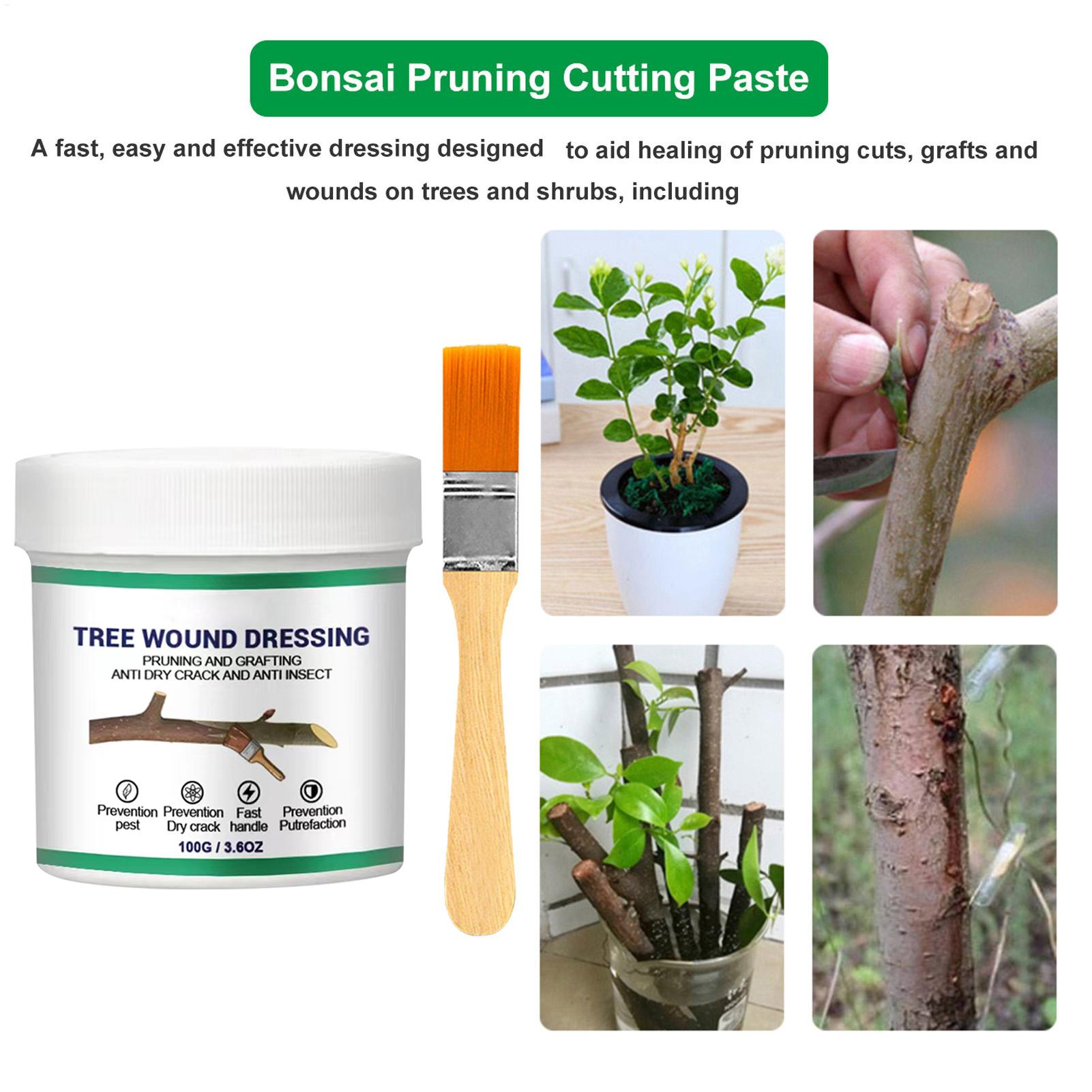 100g Tree Wound Pruning Sealer - đánh giá và giá Us Bonsai Garden