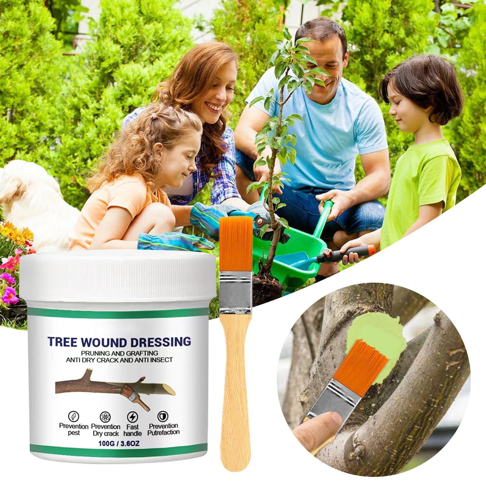 100g Tree Wound Pruning Sealer - đánh giá và giá Us Bonsai Garden