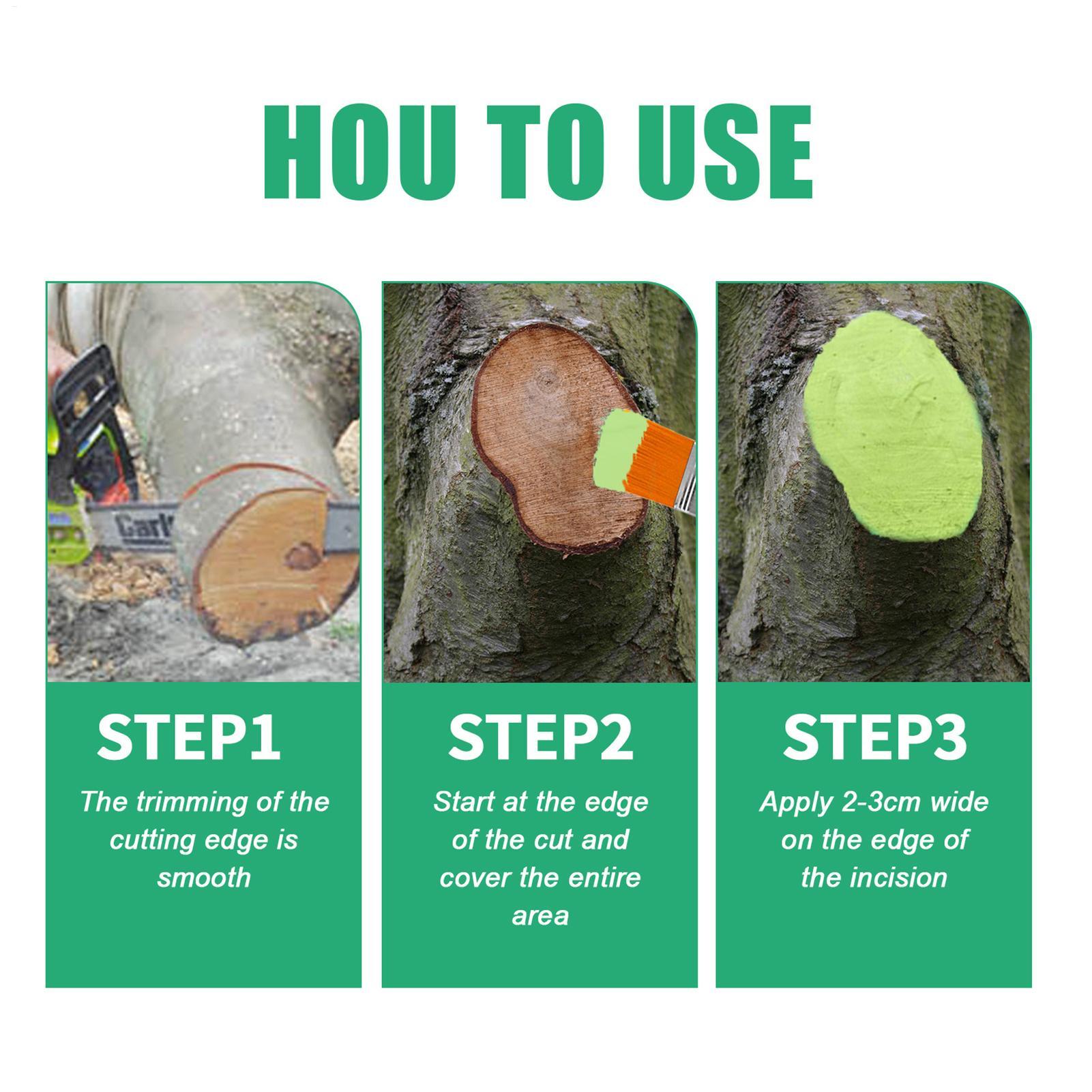 100g Tree Wound Pruning Sealer - đánh giá và giá Us Bonsai Garden