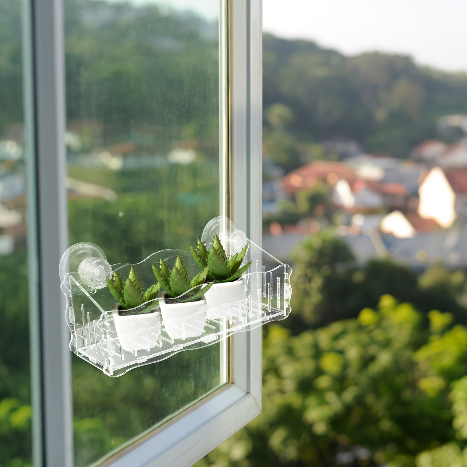 Suction Cup Planter Acrylic Tr - đánh giá và giá Us Bonsai Garden
