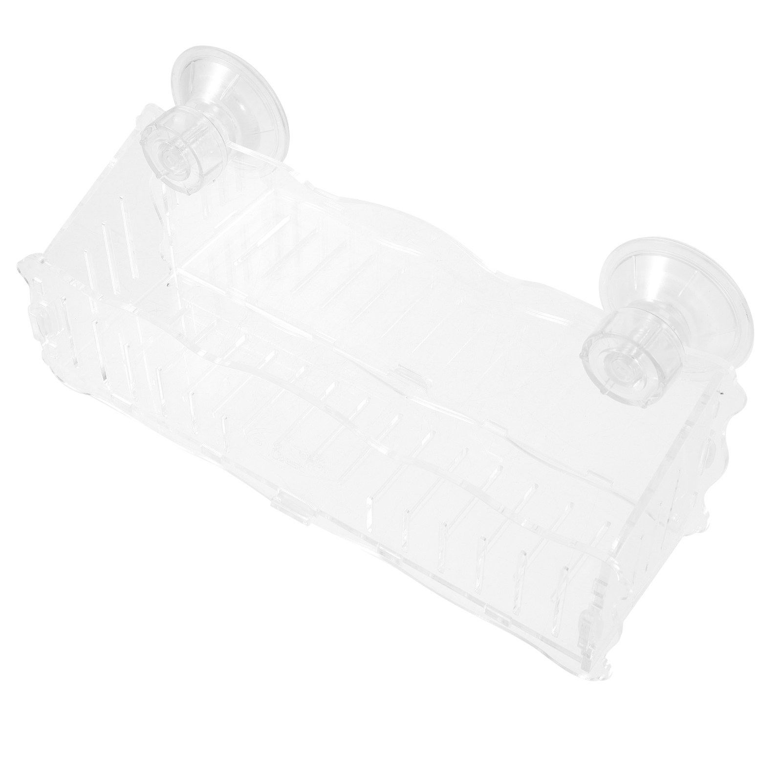 Suction Cup Planter Acrylic Tr - đánh giá và giá Us Bonsai Garden