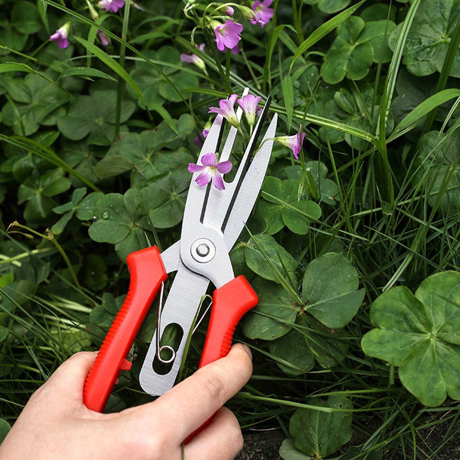 Garden Shears Stainless Steel  - đánh giá và giá Us Bonsai Garden
