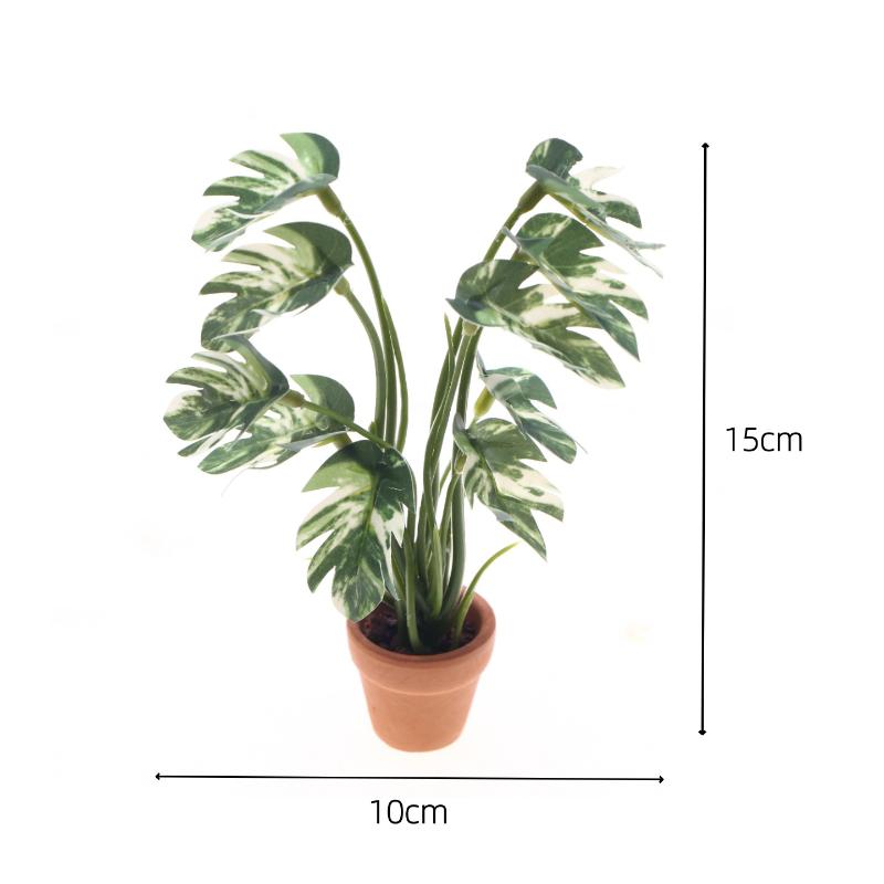 New.1PC 1/12 Dollhouse Simulat - đánh giá và giá Us Bonsai Garden