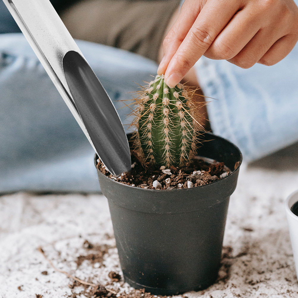 Stainless Steel Garden Scoop L - đánh giá và giá Soil Scoop Tool